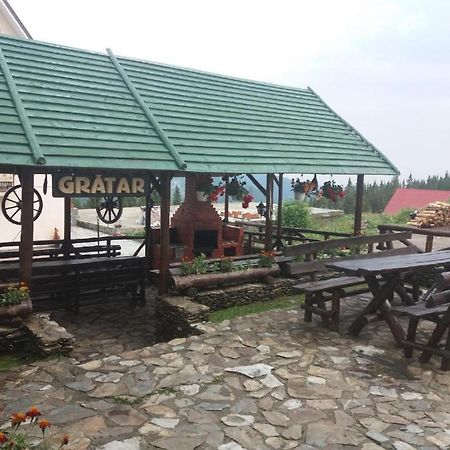 Pensiunea Brandusa Ranca Buitenkant foto