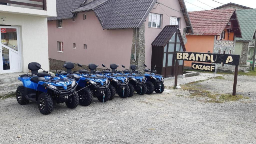 Pensiunea Brandusa Ranca Buitenkant foto
