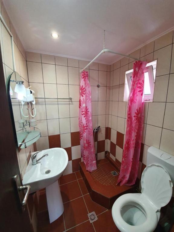 Pensiunea Brandusa Ranca Buitenkant foto